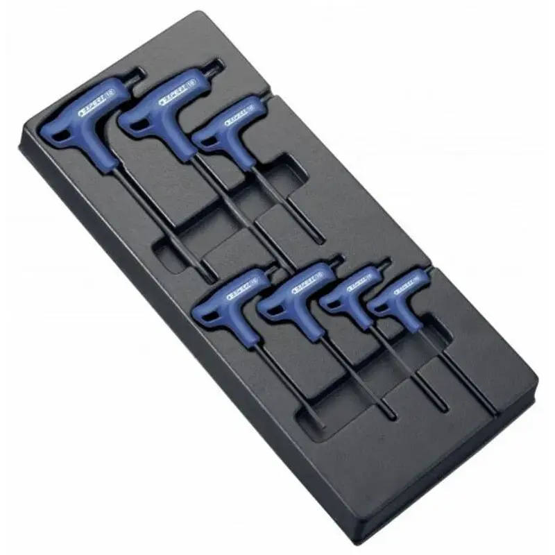 Module d'outils EXPERT 7 clés males Torx en T - plateau plastique