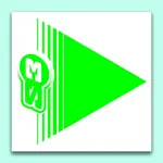 Flèches de signalisation S3 vert 50 pièces 12x12cm