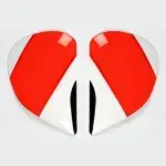 platine écran Araï saj NICKY EASY RIDER casque intégral