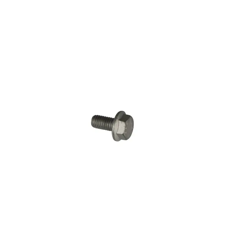 BOLT MOUNTING SCREW