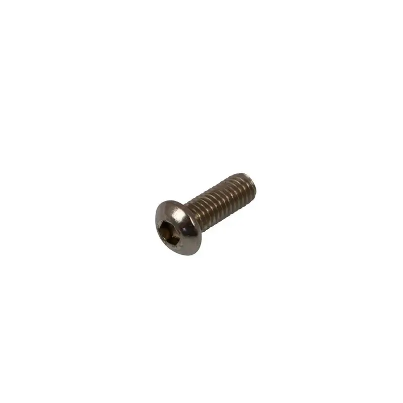 BOLT MOUNTING SCREW
