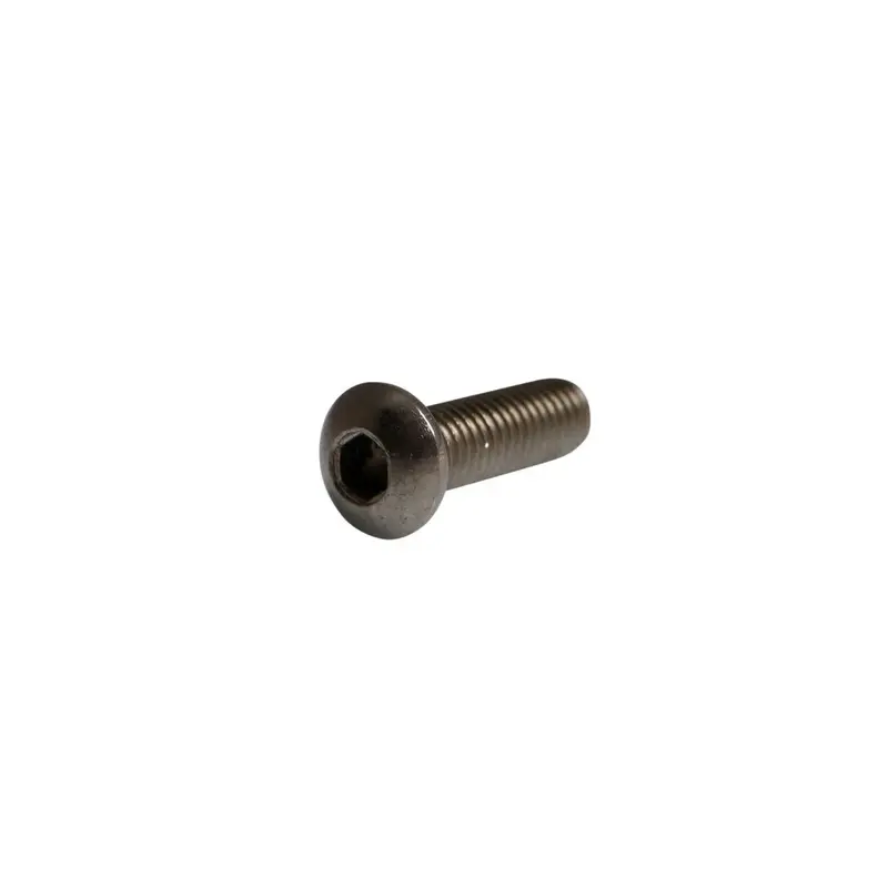 BOLT MOUNTING SCREW
