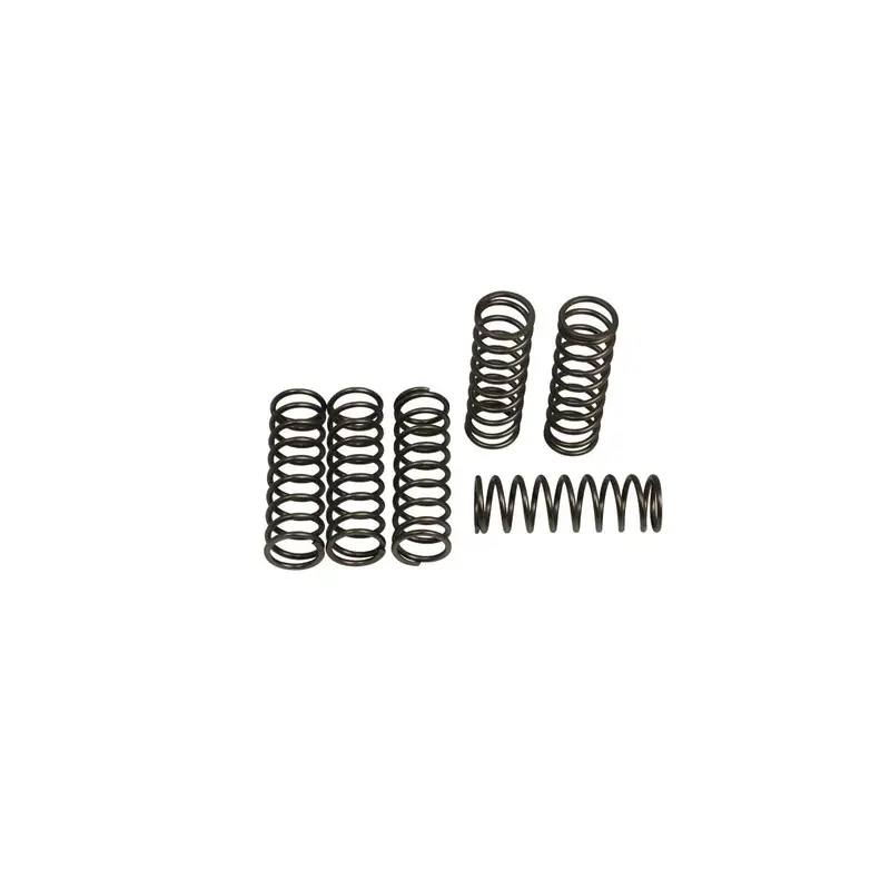 CLUTCH SPRING KIT (6 pièces)