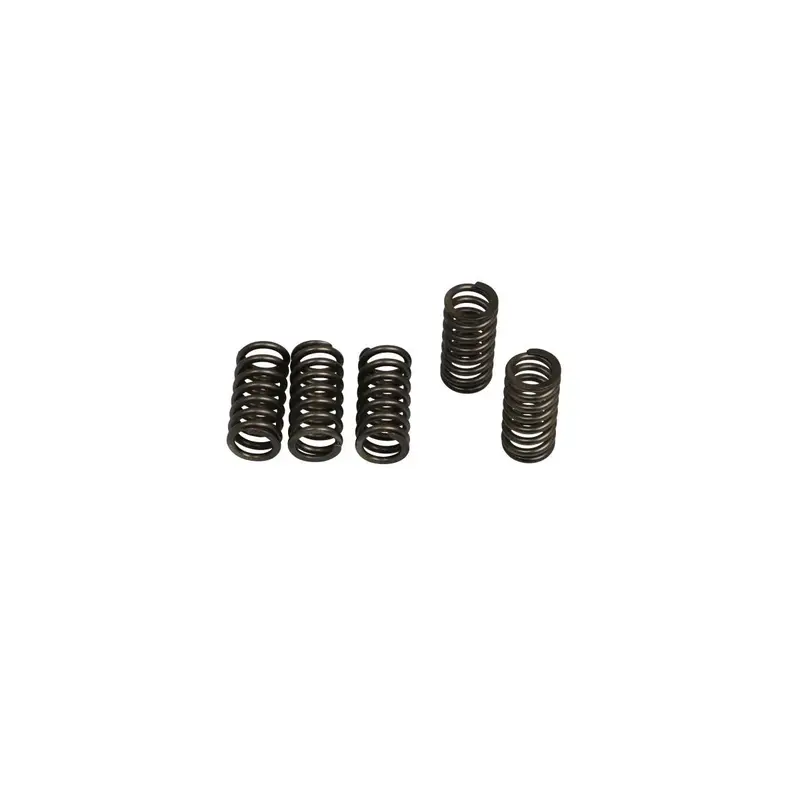 CLUTCH SPRING KIT (6 pièces)