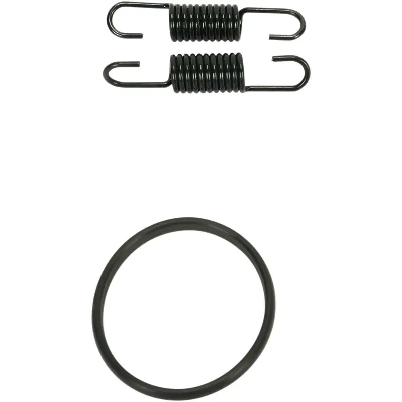 SPRING/O-RING KIT Suzuki