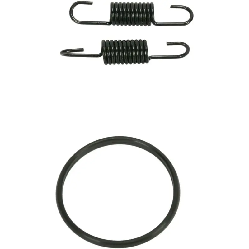SPRING/O-RING KIT Suzuki