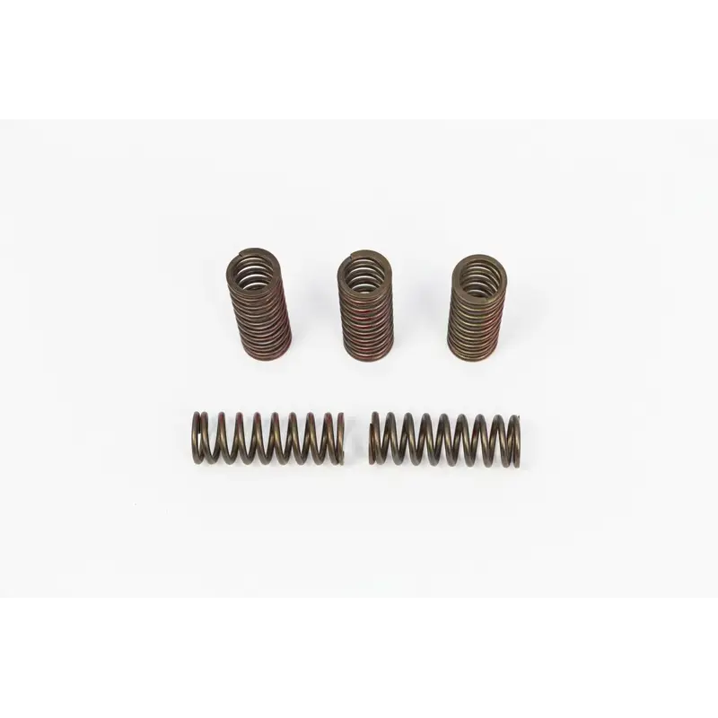 CLUTCH SPRING SET FOR Honda
