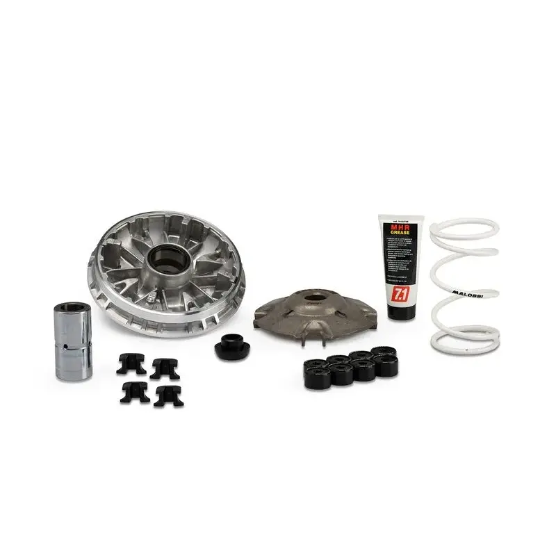 Variateur MALOSSI Multivar 2000