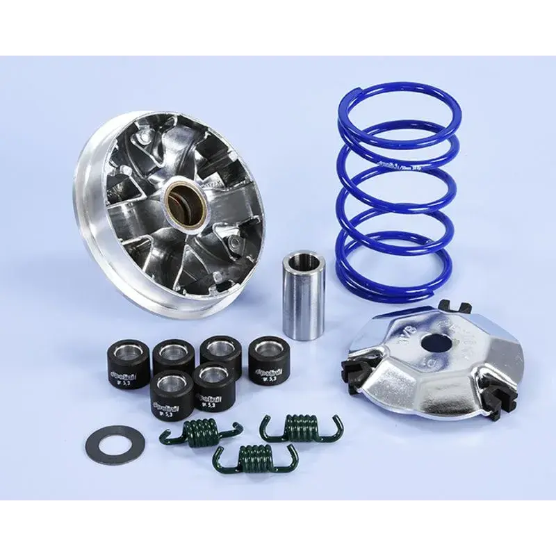 Variateur POLINI Hi-Speed