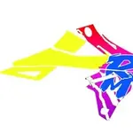 Kit déco BLACKBIRD Retro - Suzuki RMZ 250/450