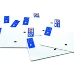 10 plaques d&#039;immatriculations PPI SIV alu 210x130 Département 67