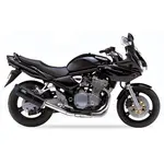 Silencieux IXIL Hexoval Xtrem - Suzuki GSF 600 N Bandit