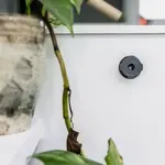 Support mural adhésif QUAD LOCK