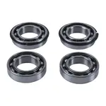 Jeu de roulement de contrepoids HOT RODS - Polaris