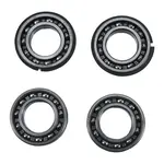 Jeu de roulement de contrepoids HOT RODS - Polaris