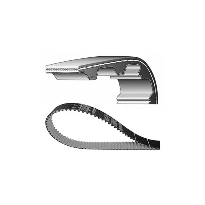 Courroie de distribution DAYCO Standard