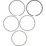 Segment VERTEX - 98,95 mm