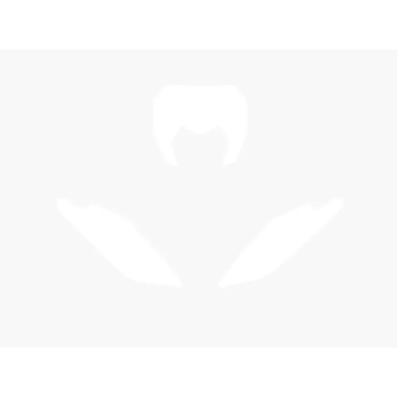 Fonds de plaque BLACKBIRD blanc Fantic XX