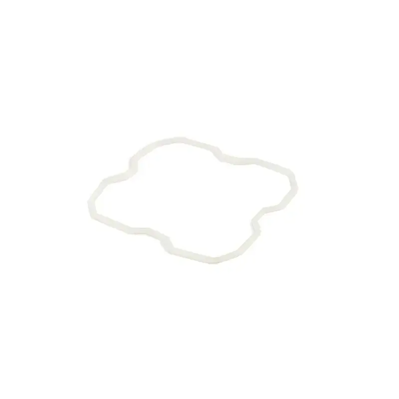 Joint Waterproof pour lentilles D4 DENALI