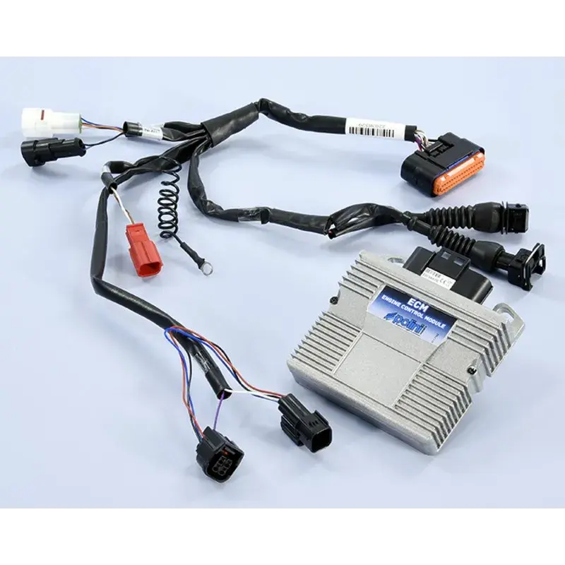 Boîtier de contrôle moteur POLINI ECM